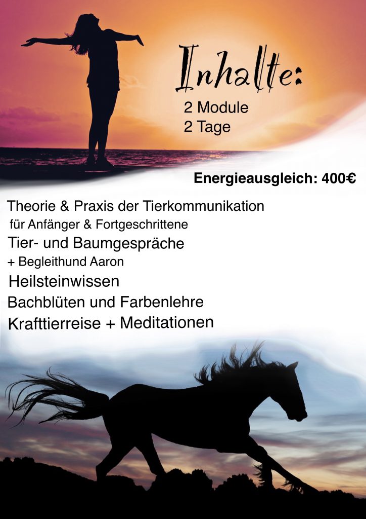 young spirit Inhalt
